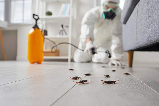 Post-Treatment Bed Bug Interceptor Monitoring in Winslow