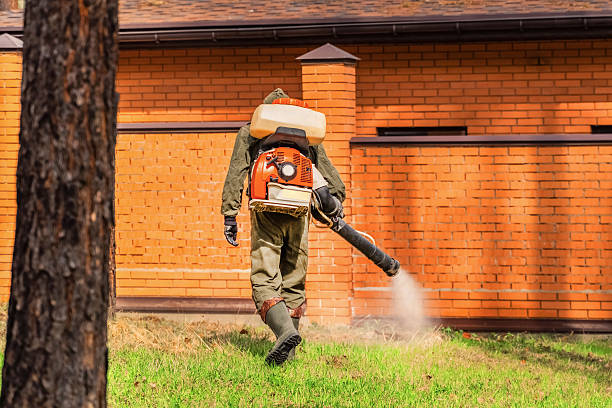 Bed Bug Clearance Verification and Documentation in Winslow